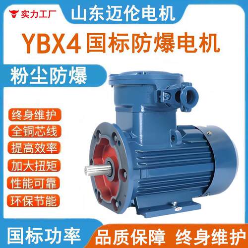 YBX4隔爆型高效率三相异步电动机全铜粉尘防爆电机厂家供应电动机