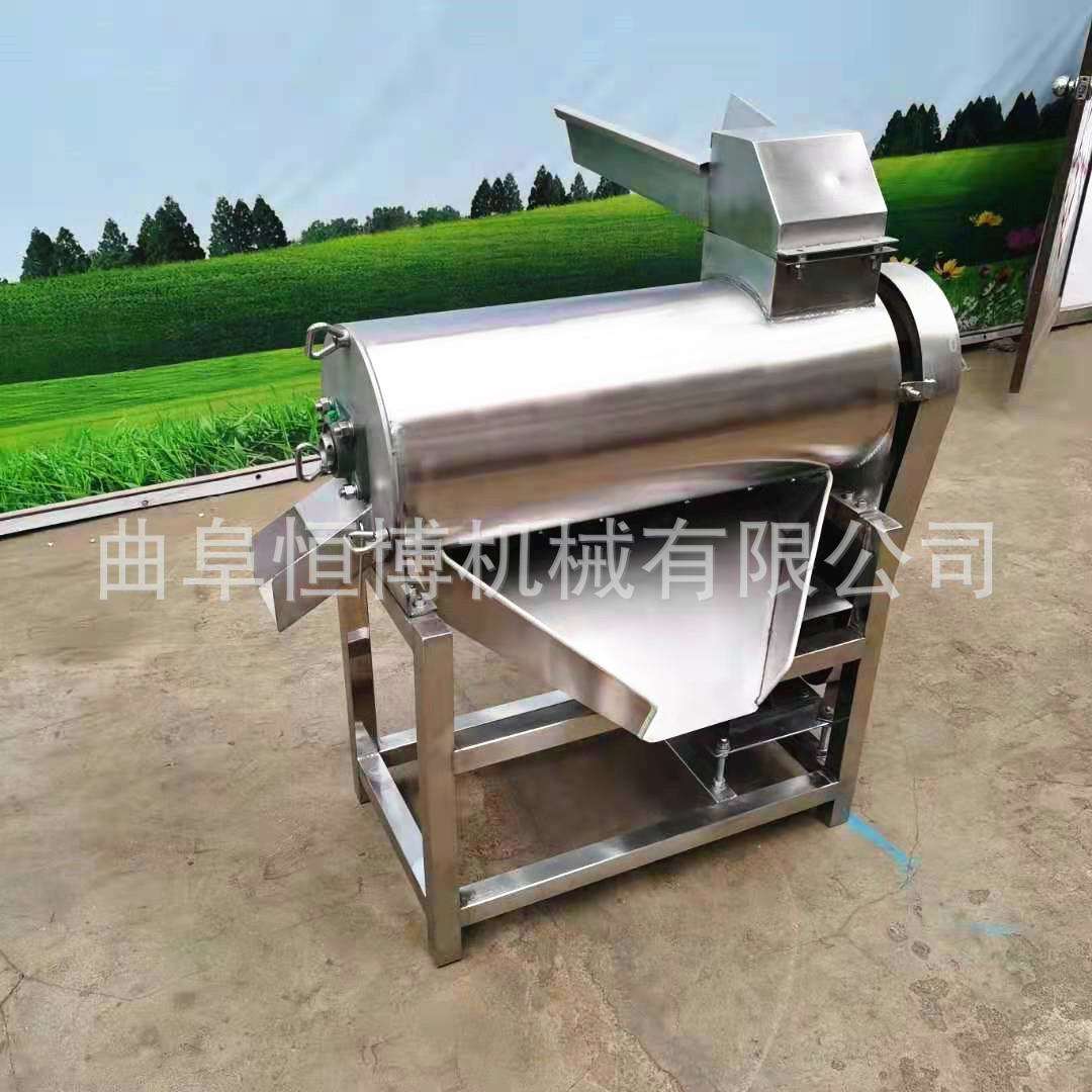 黄桃去核打浆机 商用蓝莓双道去核打浆机 大型果蔬打浆机 多功能