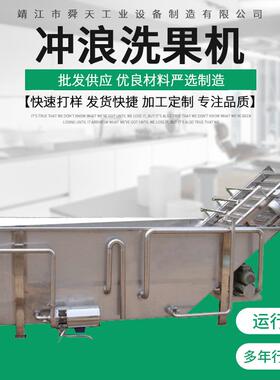 洗果机CXJ-2冲浪洗果机系列冲浪式洗果机果蔬清洗机蔬加工设备