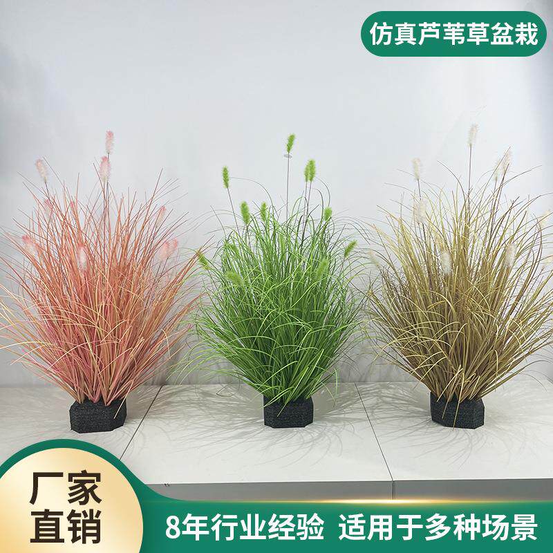 毛毛虫草堆仿真芦苇草植物橱窗落地装饰狗尾巴草洋葱草绿植盆栽
