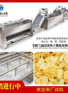 毛辊气泡清洗风干挑选切割作业线 喷淋清洗机 风干机 挑选作业台