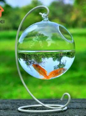 Round Shape Hanging Glass Aquarium Fish Bowl Fish Tank