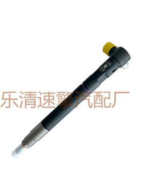 德尔福双龙 EMBR00301D A6710170121 高压喷油器总成