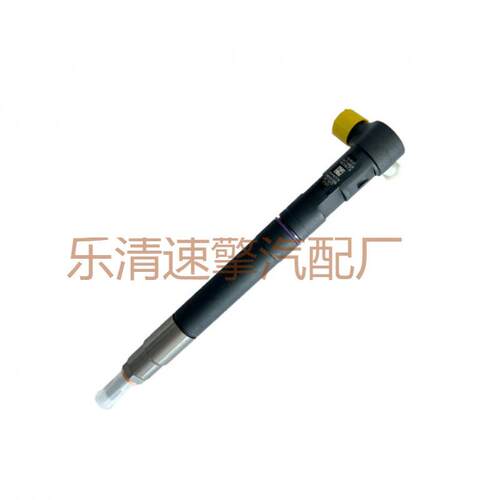 德尔福双龙 EMBR00301D A6710170121 高压喷油器总成