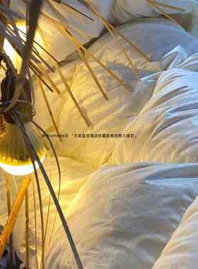 SIL【进口绒K&羽DOWN匈牙利98白鹅绒真丝提花绒被高档进口绒被春