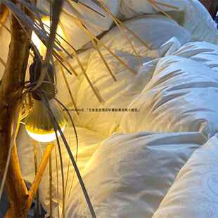 SIL 进口绒K&羽DOWN匈牙利98白鹅绒真丝提花绒被高档进口绒被春