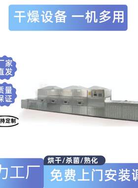 斯尔迈隧道式木制品微BNO子波烘干灭虫卵设次备 一性筷杀虫卵设备