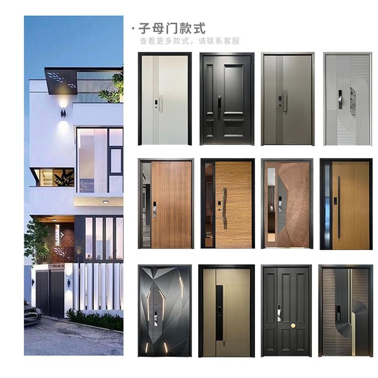 入户门防盗门进户子母门别墅大门对开双开门简约家用单铜门铸铝门