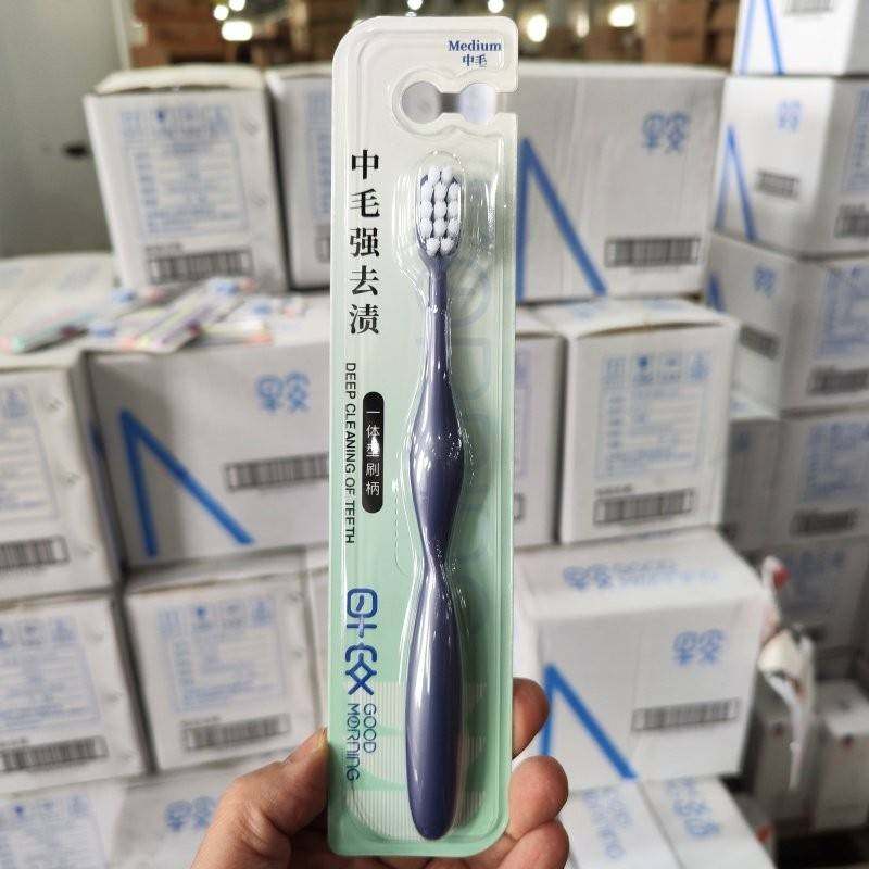 牙刷官方旗舰店正品品牌早安中毛强去渍单支装中硬毛大头高档男士,孕妇装/孕产妇用品/营养,月子牙刷/孕期口腔用品,淘宝优惠券,粉丝福利购,淘宝优惠卷