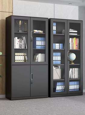 办公室财务资料档案凭证黑色文件柜员工宿舍更衣室铁皮储物换