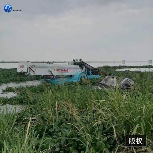 湖北小型水收割机船 葫水KDGC-100 芦清理船水下割草草设备 水陆