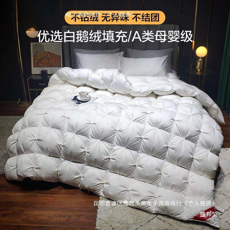 羽绒被加厚保暖冬被芯白鹅绒酒店单人鸭绒被棉被冬天季春秋被子