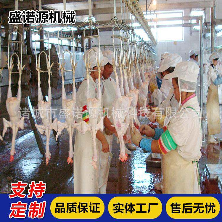 麻鸭屠宰设备大型家禽屠宰流水产业线家禽宰杀清洗预冷池价格