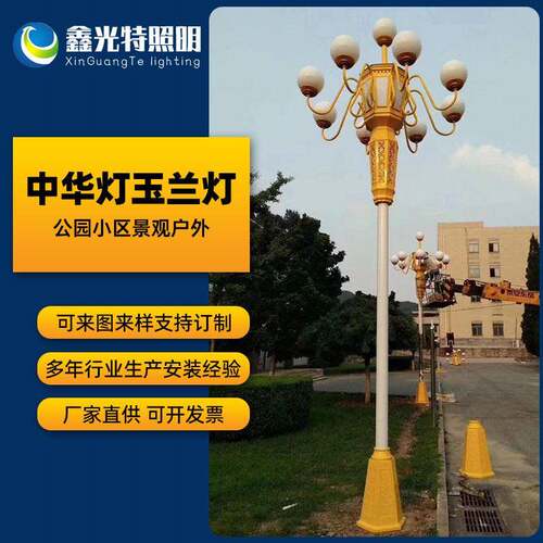 厂家定制led中华灯玉兰灯市政道路工程户外广场景区特色景观灯6米