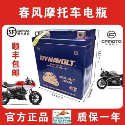 猛狮春风机车原装电瓶250sr/ST狒狒/250nk/nk150/125/国宾/650