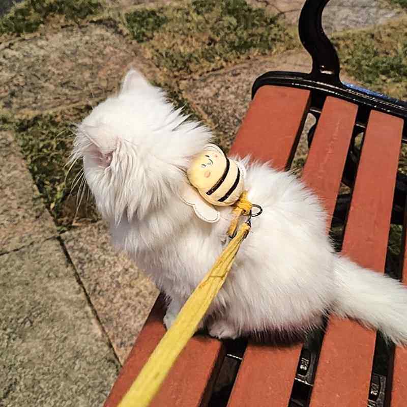 猫咪牵引绳外出用防挣脱工字遛猫绳子小猫胸背带可调节宠物狗炼子