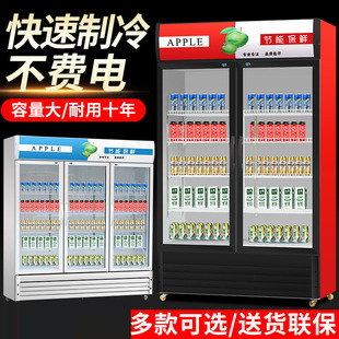 双门展示柜水果保鲜柜冰箱冰柜啤酒柜冷藏柜饮料柜 商用立式