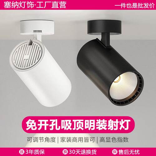 明装射灯可调角度单个家用小吸顶式轨道灯聚光射灯LED天花灯筒灯