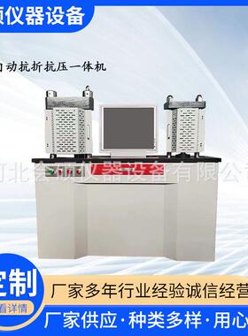 厂家供应DYE-300S型水泥全自动抗折抗压一体机抗折抗压试验机