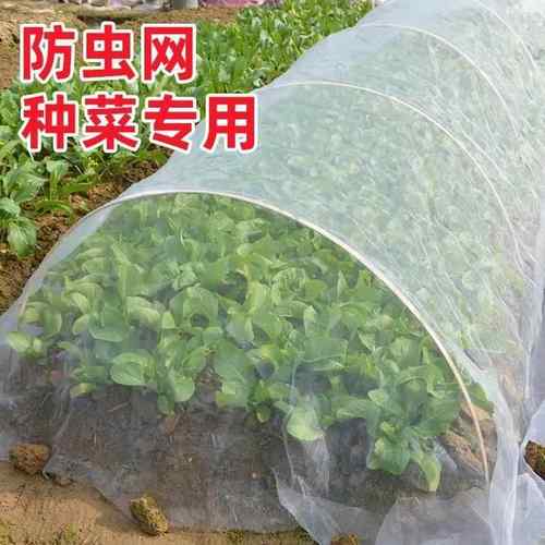 防虫网种菜专用网80目防虫罩加密纱网菜苗菜地果园网蔬菜防鸟罩