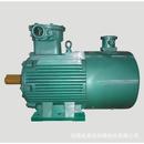 河南电机厂家供应防爆电机YBBP变频三相异步防爆电机