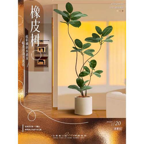 大型客厅落地摆件室内沙发电视柜旁边假植物黑金刚橡皮树仿真绿植