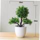 Bonsai Potted Green Small Fake Artificial Tree Plants