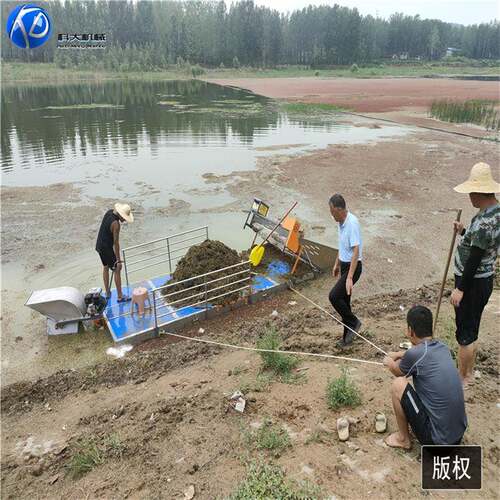 青岛泡沫船 小型平板电动割草船 全自动浒苔打捞船 水草收割机械