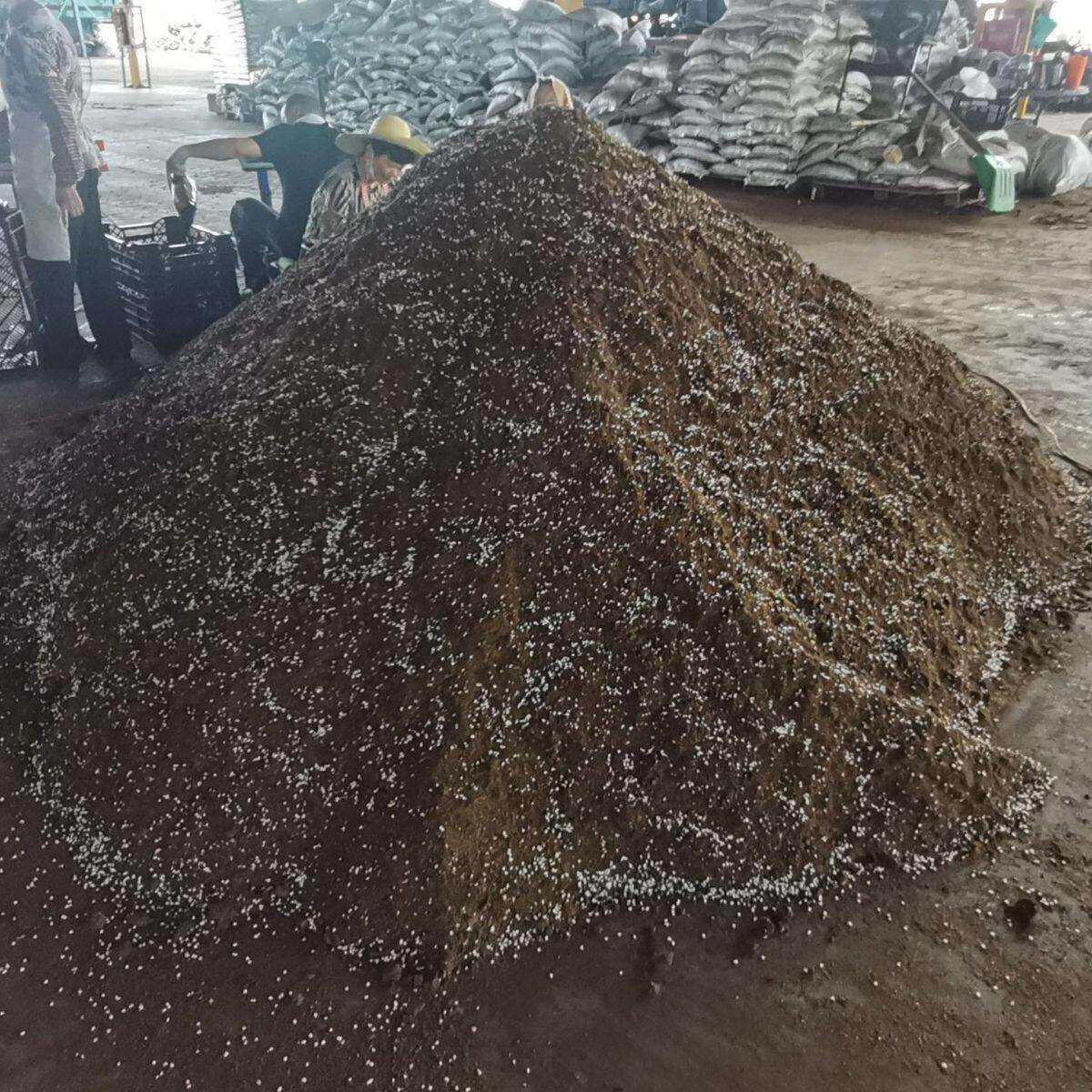 通用型有机花草苗木栽培蔬菜基质泥炭花土营养土轻质泥炭土
