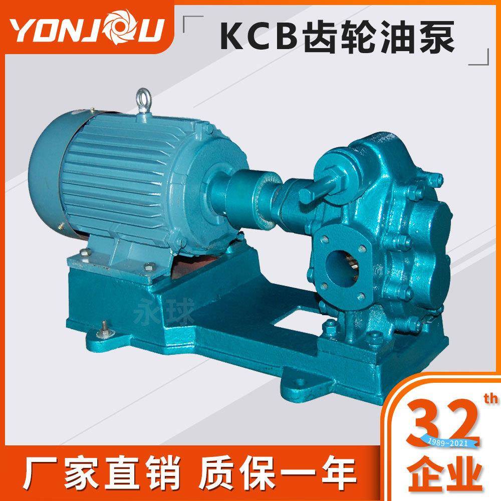 KCB高粘度齿轮泵304防爆机油石蜡柴油洗洁精胶水美缝剂输送泵