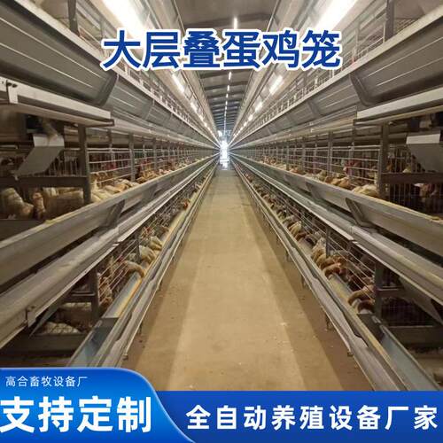 立式H型大层叠全自动蛋鸡笼设备厂家自动化捡蛋清粪捡蛋养鸡笼