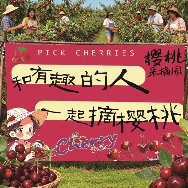 户外樱桃采摘园主题横幅定制网红直播打卡装饰氛围感采摘背景挂布