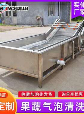 不锈钢蔬气泡清洗设备 多功能喷 淋式清LNC洗洗机厂家供应果蓝莓
