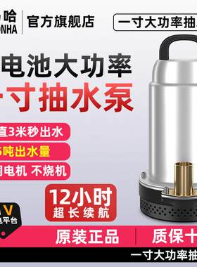 家用潜水泵充电式高扬程抽水泵大功率水井浇菜神器农用灌溉清水泵