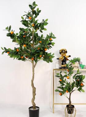桔子装树假绿植盆栽店铺饰橱仿窗造景设仿真桔子计款真植物子橘树