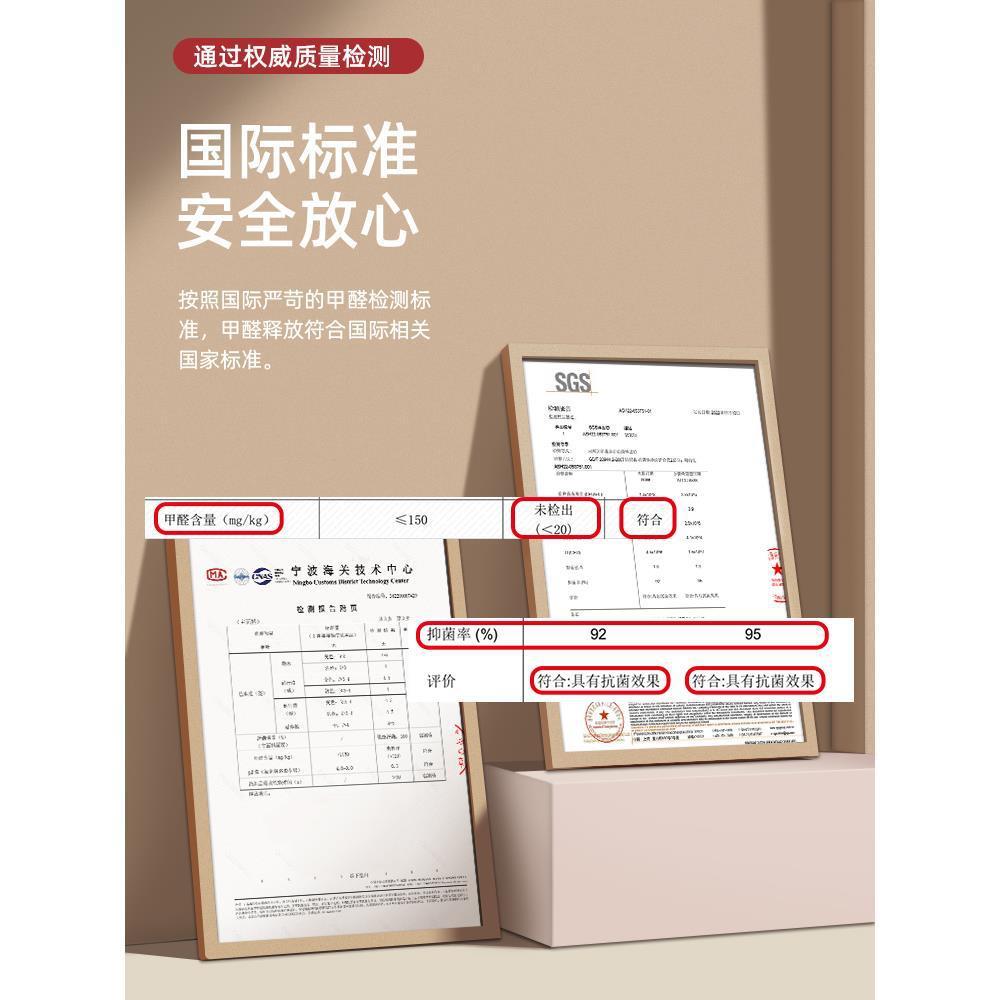 DLR子萨朗户地垫家用轻奢感别墅大门口防滑脚垫进门门玄入关耐脏
