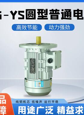 YS铝壳三相异步电动机380V2-4-6-8极足功率型号全交流电厂家发货