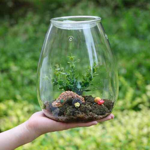 玻璃瓶 雫雫 桌面景观天然热带迷你办公桌小型摆件水族苔藓生态瓶