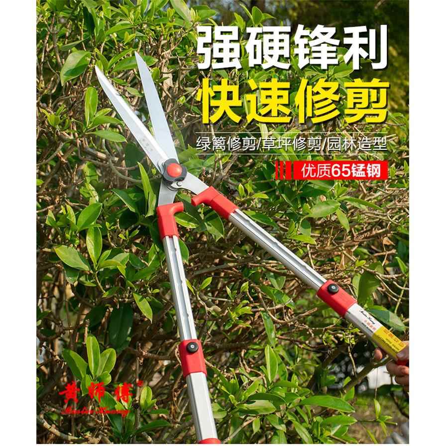 黄师傅草坪剪篱笆剪 伸缩65锰钢绿化修枝剪 园林园艺剪工具