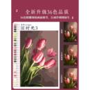 飾畫其他 郁金香數字油畫diy油彩畫風景手工填充手繪填色感丙烯裝