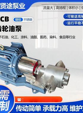 KCB不锈钢齿轮油泵耐腐蚀液压油泵大流量抽油泵KCB齿轮泵