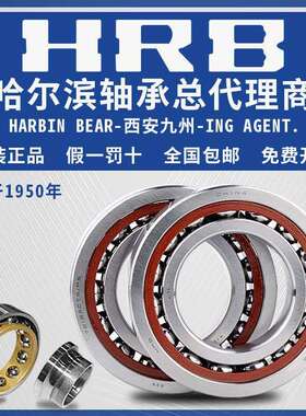 HRB哈尔滨轴承7310 7311 7312 7313 7314 7315 7316 7317 7318 AC