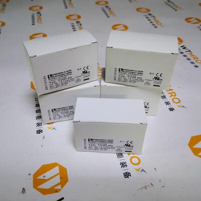 德国Rubsamen-Herr温控器TWR60换热器温度开关