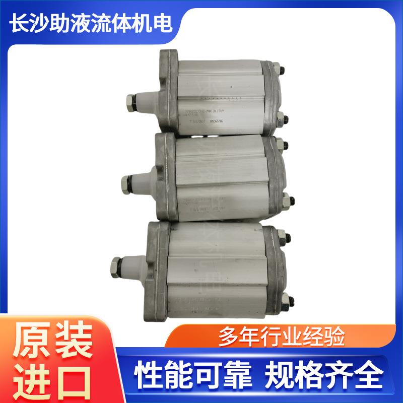 马祖奇MARZOCCHI反转齿轮泵ALP2-S-13压路机齿轮泵液压泵