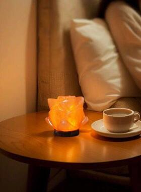 Himalayan Salt Lamp LED Night Light with Base Crystal Salt