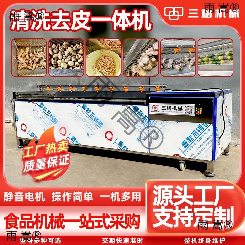 马蹄姜生TFJ蚝商用仔红毛刷辊清去皮机红薯萝卜土豆猪头枣洗抛光