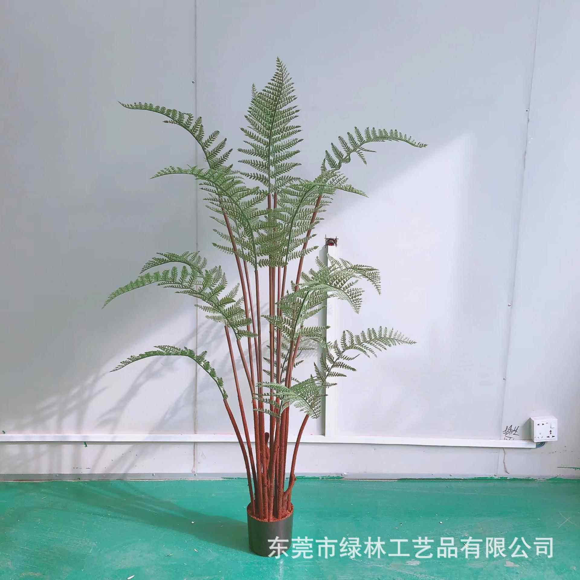 仿真波斯蕨绿家居客厅内外办公室LL-46植室盆蕨栽狗蕨马尾绿植盆