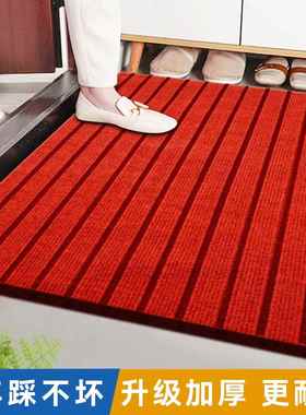 入户门垫进户门前门外脚垫子家用厨房地毯除尘耐脏大门口进门地垫