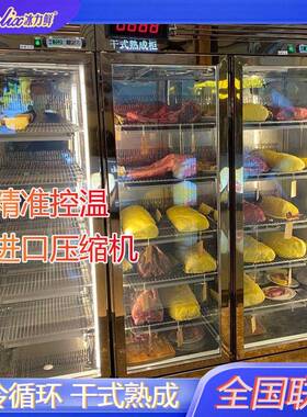 干式熟成牛肉柜展示柜深海鱼熟成柜西餐厅烤肉店排酸柜挂肉保鲜柜