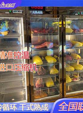 冰力鲜干式熟成牛肉牛排柜西餐厅烤肉店湿式排酸柜展示挂肉保鲜柜